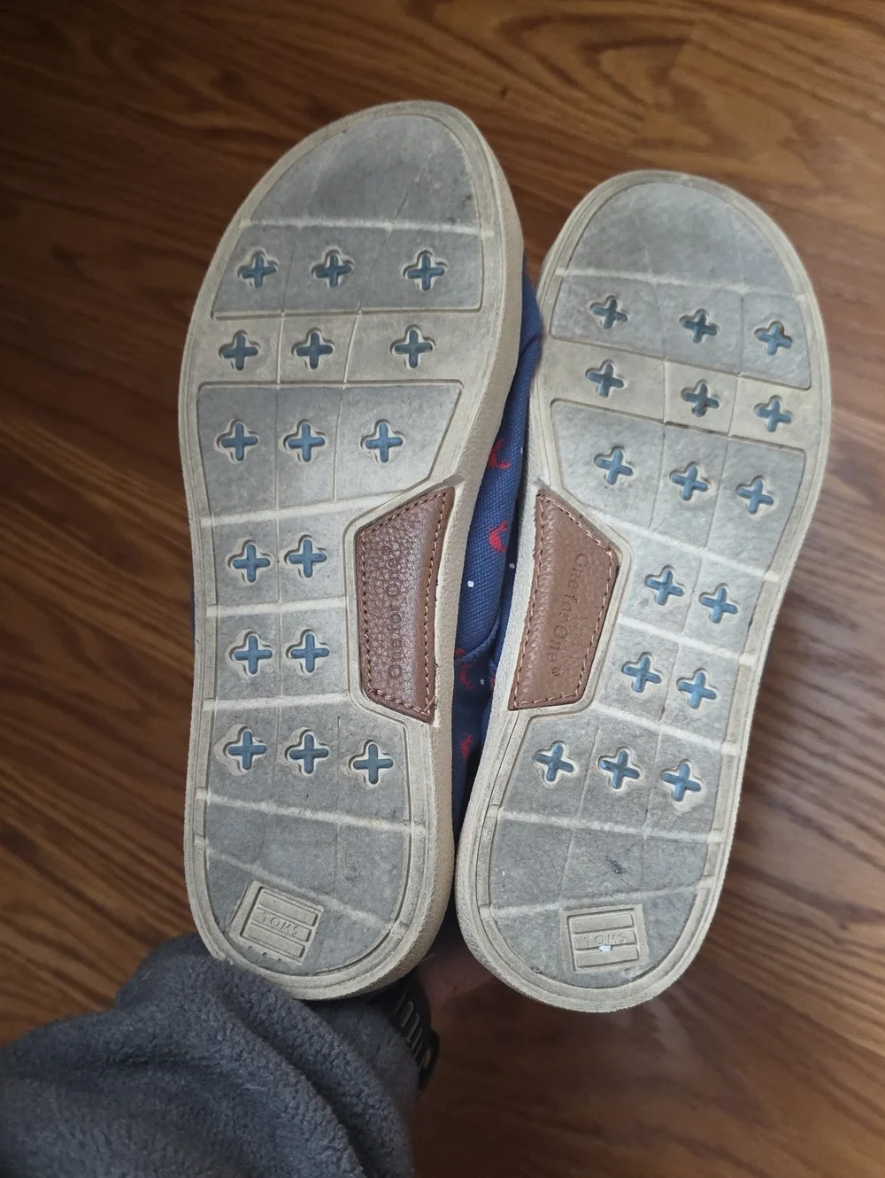 Toms Sneakers - Crabs